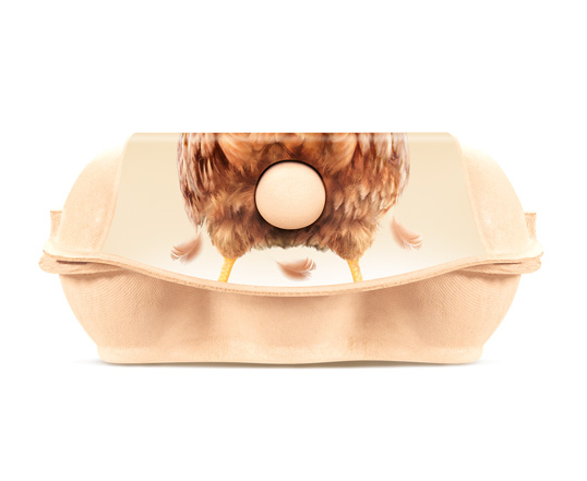 剛剛下的蛋——可愛的包裝設(shè)計-上海包裝設(shè)計公司15