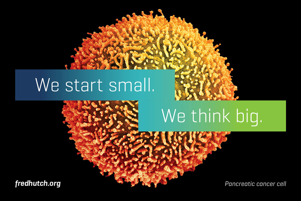 Fred Hutch 癌癥艾滋病疑難疾病研究治療中心（醫(yī)院）品牌形象設(shè)計(jì)-上海品牌標(biāo)志設(shè)計(jì)公司6