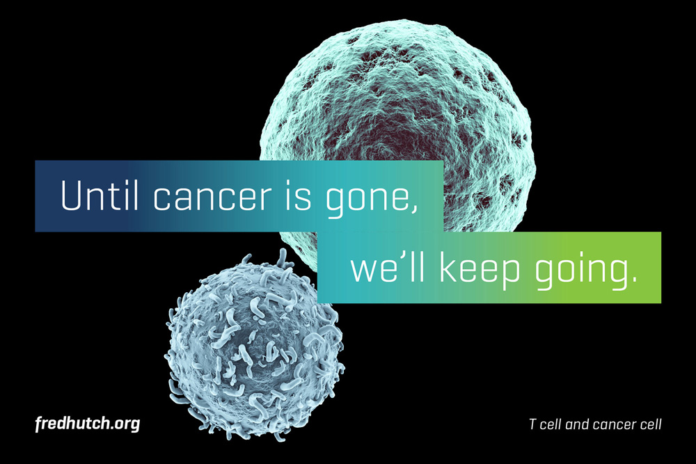 Fred Hutch 癌癥艾滋病疑難疾病研究治療中心（醫(yī)院）品牌形象設(shè)計(jì)-上海品牌標(biāo)志設(shè)計(jì)公司7