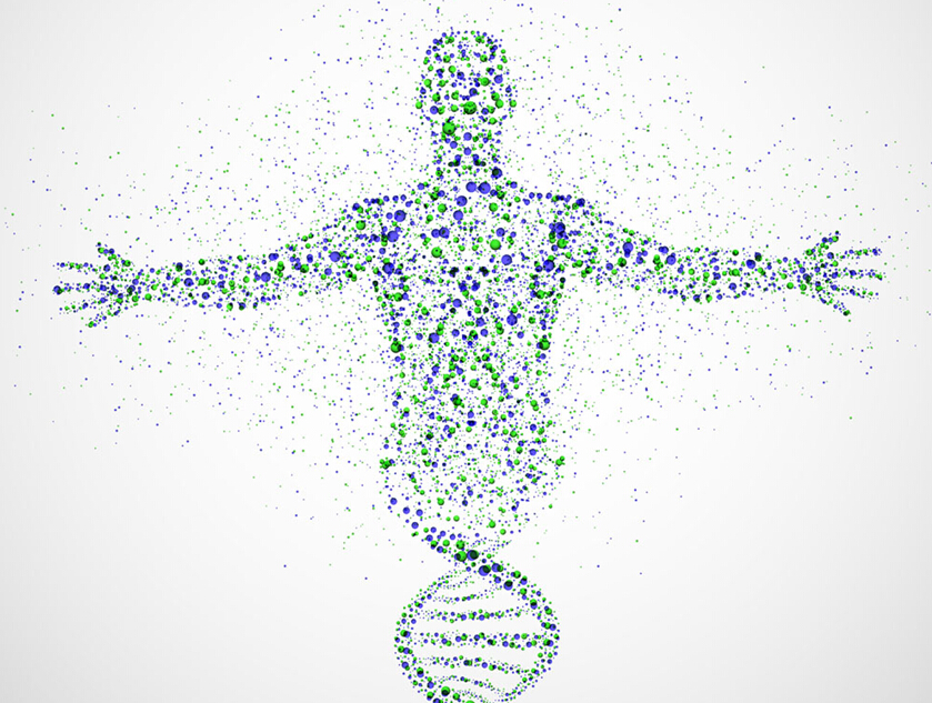 成功品牌的DNA如何塑造?-尚略上海品牌策劃公司品牌策劃觀點