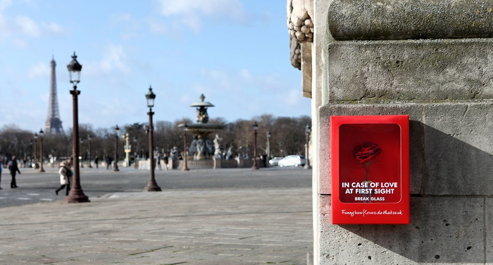 荷蘭花卉協(xié)會巴黎情人節(jié)游擊營銷推廣_尚略品牌策劃公司 品牌設(shè)計公司 品牌設(shè)計公司