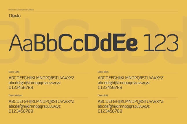 品牌設(shè)計標(biāo)志設(shè)計5——尚略廣告 上海知名策劃與設(shè)計公司