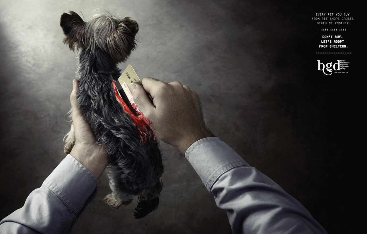 上海廣告設(shè)計公司廣告分享——土耳其動物保護(hù)協(xié)會公益廣告創(chuàng)意設(shè)計——狗篇