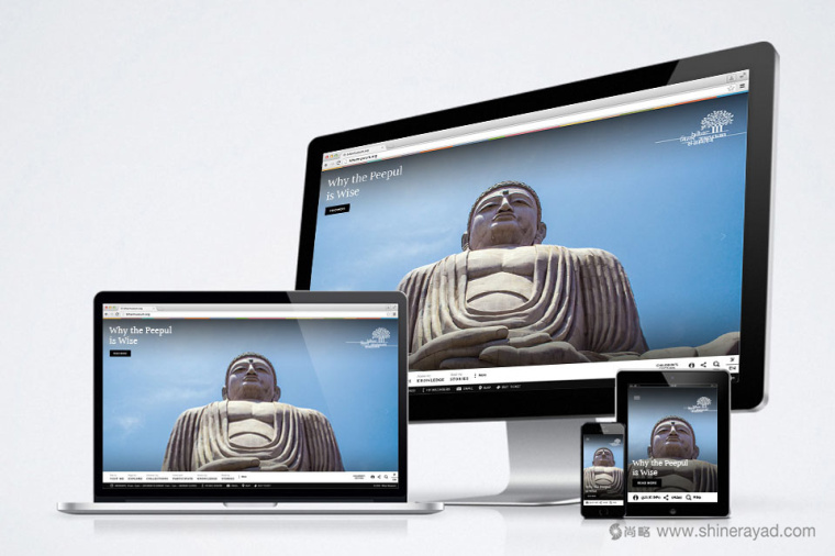 印度比哈爾歷史博物館LOGO設(shè)計(jì)VI設(shè)計(jì)-網(wǎng)站設(shè)計(jì)--上海LOGO設(shè)計(jì)公司設(shè)計(jì)鑒賞6