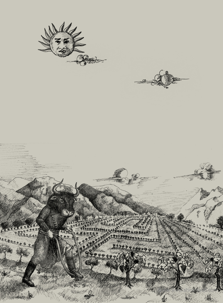 上海包裝設(shè)計(jì)公司分享：tsikoudia 手繪牛頭人插畫白酒包裝設(shè)計(jì)2