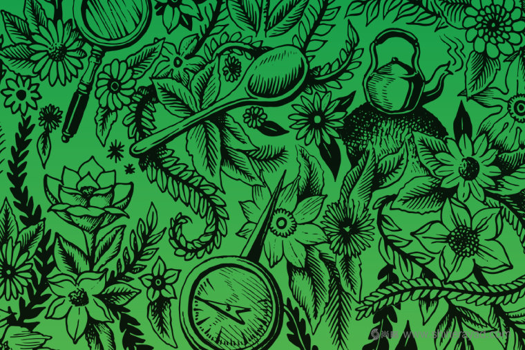 上海包裝設(shè)計(jì)公司設(shè)計(jì)欣賞：RISHI 鋁罐茶葉包裝設(shè)計(jì)-插畫(huà)設(shè)計(jì)5