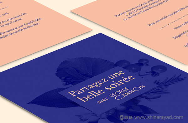 Thés George Cannon 茶葉品牌VI設(shè)計(jì)-上海VI設(shè)計(jì)公司6