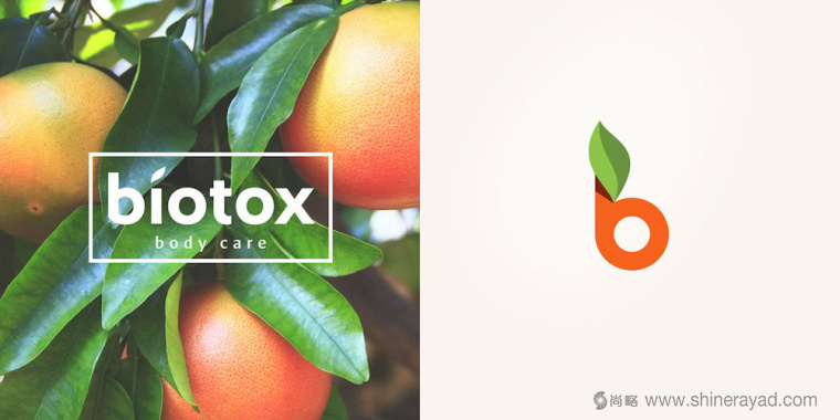 Biotox 天然水果有機(jī)護(hù)膚品標(biāo)志設(shè)計(jì)4