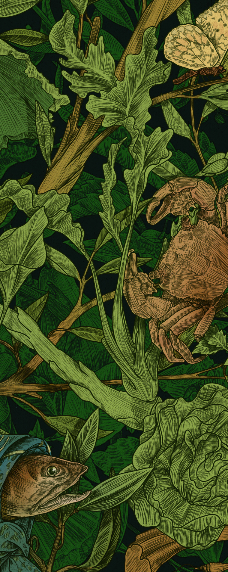 Botanique 餐廳植物鳥兒商業(yè)藝術(shù)插畫設(shè)計(jì)-上海品牌形象設(shè)計(jì)公司4