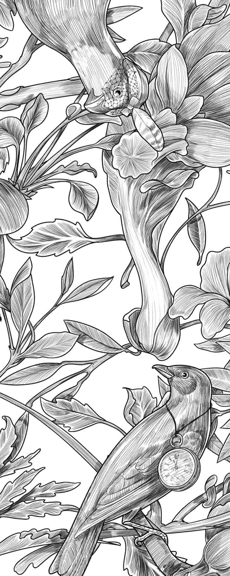 Botanique 餐廳植物鳥兒插畫設(shè)計(jì)-上海品牌形象設(shè)計(jì)公司6