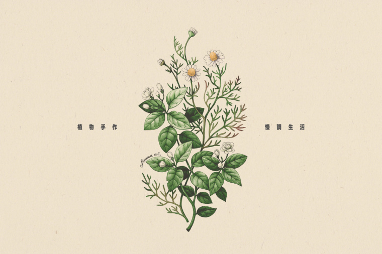 香圃芳香生活用品品牌VI設(shè)計(jì)-上海VI設(shè)計(jì)公司8