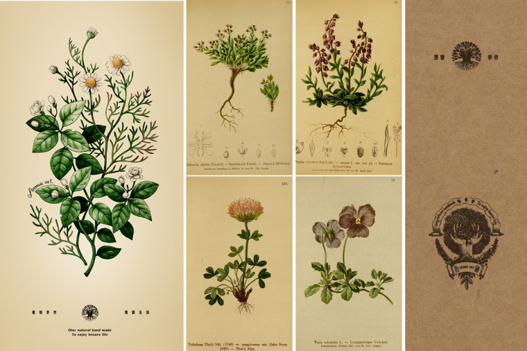 香圃芳香生活用品品牌VI設(shè)計(jì)-上海VI設(shè)計(jì)公司10