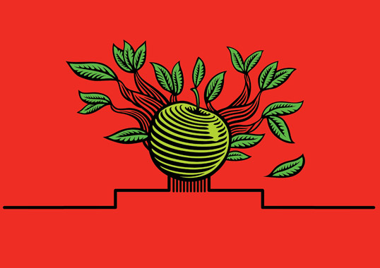 Cide蘋果酒梨子酒果酒包裝設(shè)計-水果插畫酒標(biāo)設(shè)計-上海包裝設(shè)計公司設(shè)計品鑒7 Cide蘋果酒梨子酒果酒包裝設(shè)計-水果插畫酒標(biāo)設(shè)計-上海包裝設(shè)計公司設(shè)計品鑒7