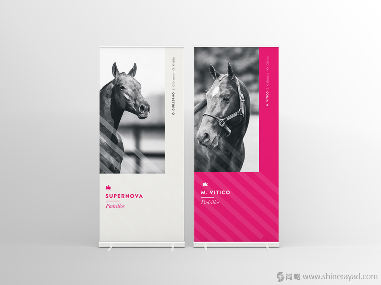 5.上海畫冊設計公司-Alegria 馬球協(xié)會宣傳畫冊設計欣賞