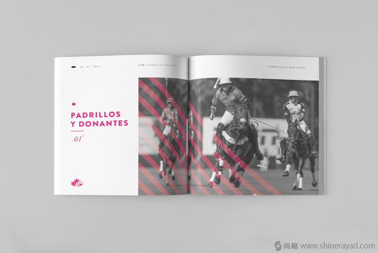 2.上海畫冊設計公司-Alegria 馬球協(xié)會宣傳畫冊設計欣賞