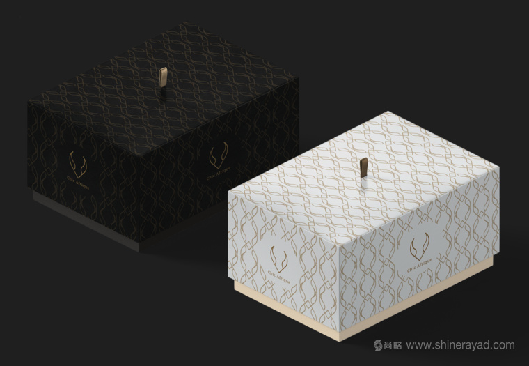 Chic Afrique 在線服飾零售電商女裝時裝服裝品牌VI形象設(shè)計-上海VI設(shè)計公司7