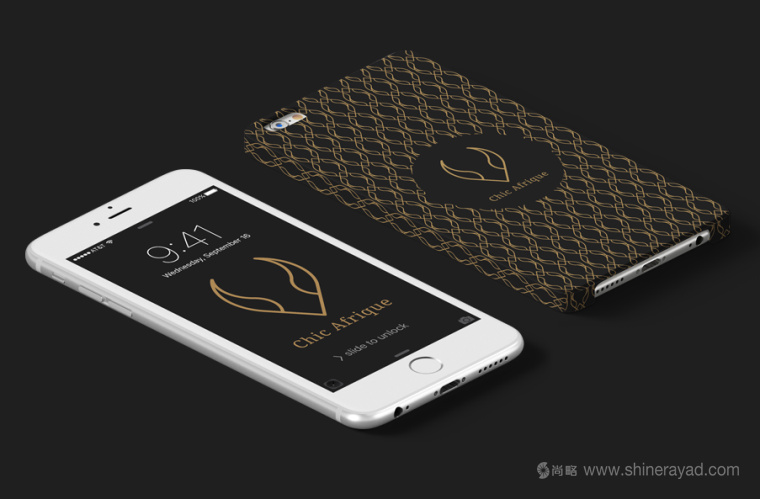 Chic Afrique 在線網(wǎng)絡(luò)零售女裝時裝服裝品牌VI形象設(shè)計-上海VI設(shè)計公司11