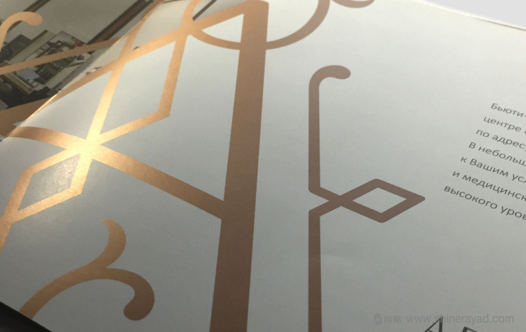 4.1.上海畫(huà)冊(cè)設(shè)計(jì)公司-金色風(fēng)格 AESTHETICA 美容護(hù)膚連鎖店企業(yè)宣傳畫(huà)冊(cè)設(shè)計(jì)欣賞