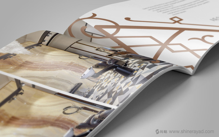 5.1.上海畫(huà)冊(cè)設(shè)計(jì)公司-金色風(fēng)格 AESTHETICA 美容護(hù)膚連鎖店企業(yè)宣傳畫(huà)冊(cè)設(shè)計(jì)欣賞