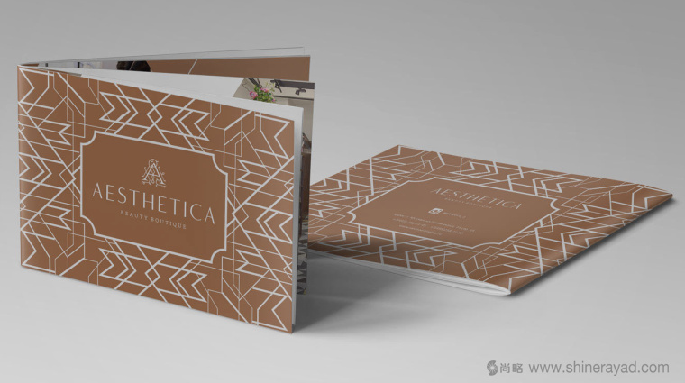 6.1.上海畫(huà)冊(cè)設(shè)計(jì)公司-金色風(fēng)格 AESTHETICA 美容護(hù)膚連鎖店企業(yè)宣傳畫(huà)冊(cè)設(shè)計(jì)欣賞