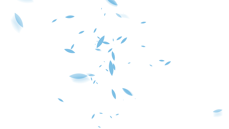 聯(lián)合國難民署品牌形象設(shè)計VI設(shè)計-上海品牌策劃設(shè)計公司分享3