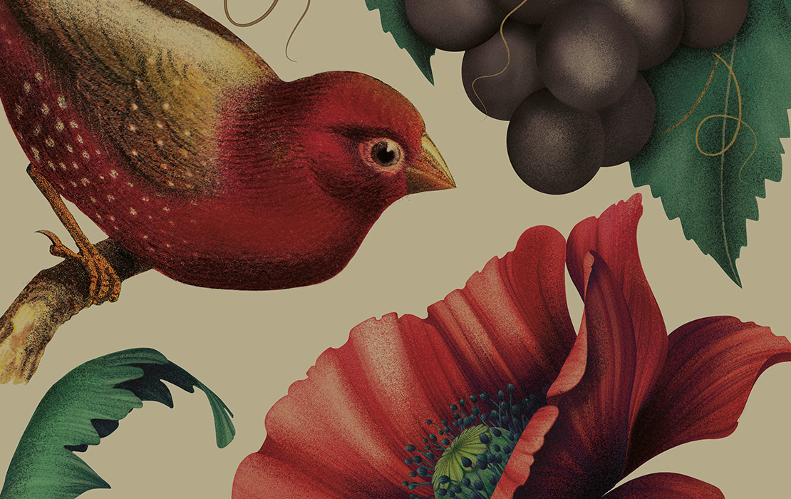 Pure Drops 紅酒包裝設(shè)計(jì)插畫版-上海包裝設(shè)計(jì)公司國外包裝設(shè)計(jì)欣賞6