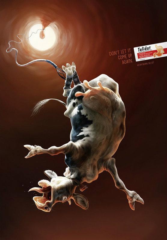 Talidat胃藥動物篇廣告2-上海廣告設計公司 http://m.907632.com/