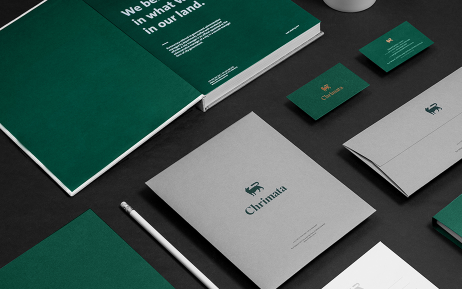 上海品牌策劃設(shè)計公司分享：Chrimata投資咨詢公司品牌形象設(shè)計VI設(shè)計6