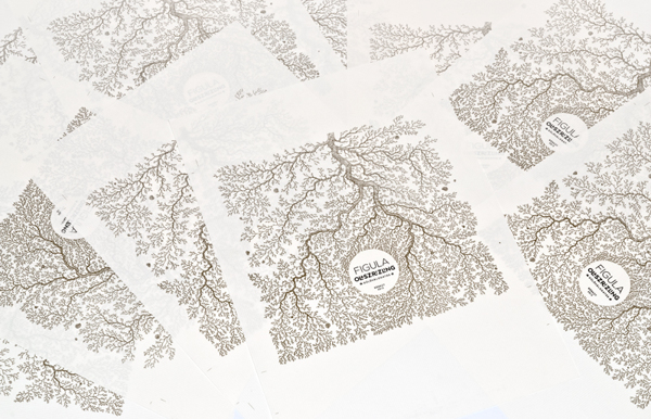 Figula 葡萄酒葡萄藤黑色線條包裝設(shè)計(jì)-上海包裝設(shè)計(jì)公司設(shè)計(jì)欣賞11