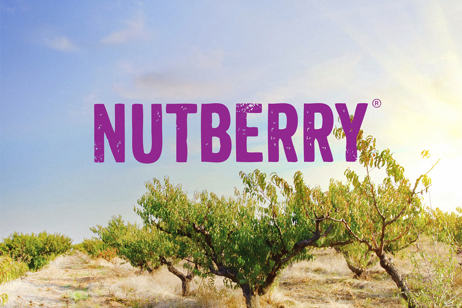 Nutberry 健康有機(jī)食品干果品牌塑造之標(biāo)志設(shè)計(jì)1