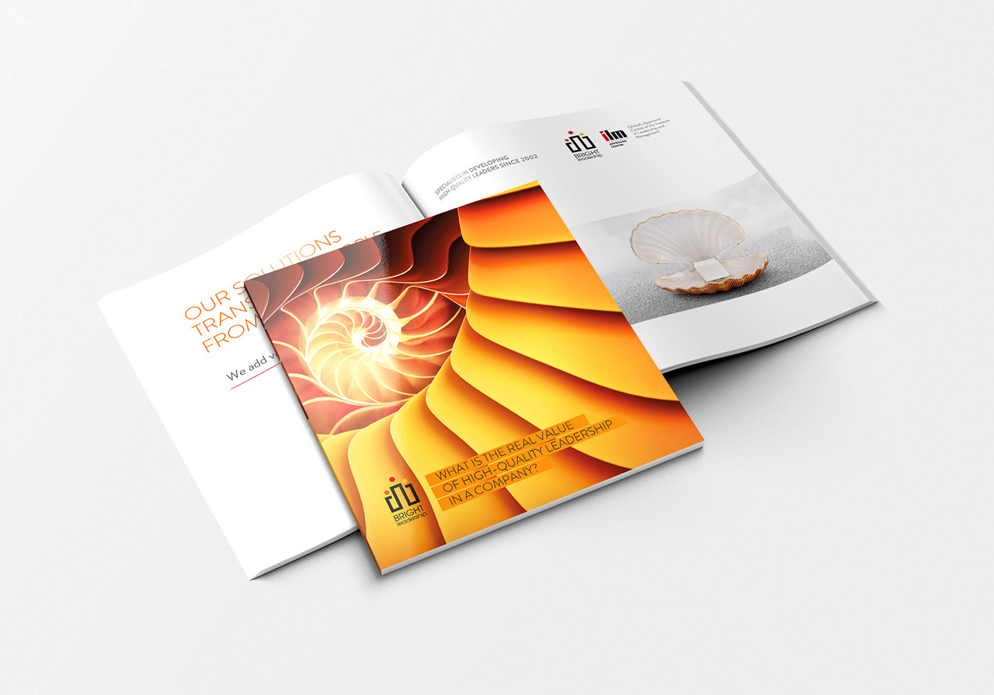 Bright 營銷咨詢公司品牌宣傳畫冊設(shè)計(jì)2 Bright 營銷咨詢公司品牌宣傳畫冊設(shè)計(jì)2