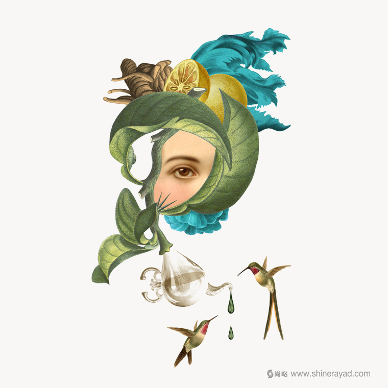 澳大利亞StrangeLove 能量飲料包裝設計-上海包裝設計公司國外包裝設計欣賞5