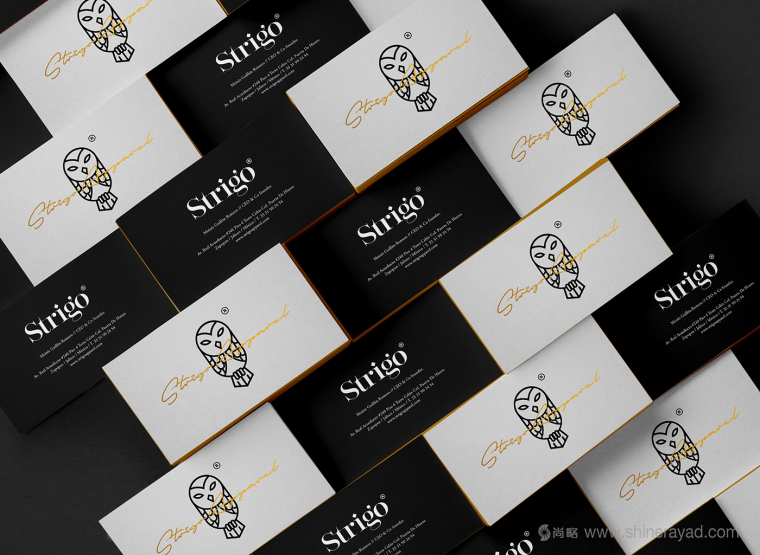 Strigo服飾品牌形象全案設(shè)計(jì)-貓頭鷹標(biāo)志設(shè)計(jì)3