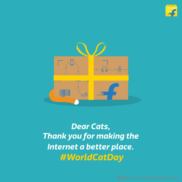 度最大的電商公司Flipkart黃色購(gòu)物袋LOGO設(shè)計(jì)4-包裝盒子設(shè)計(jì)