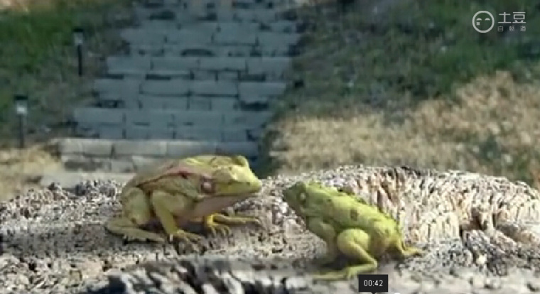 Twistos健康休閑食品影視廣告截圖-上海廣告策劃公司2