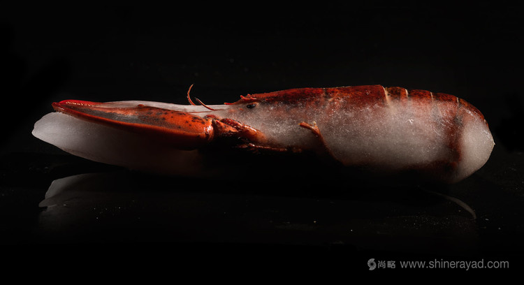 龍蝦大師品牌包裝設(shè)計(jì)龍蝦圖片設(shè)計(jì)-上海包裝設(shè)計(jì)公司6