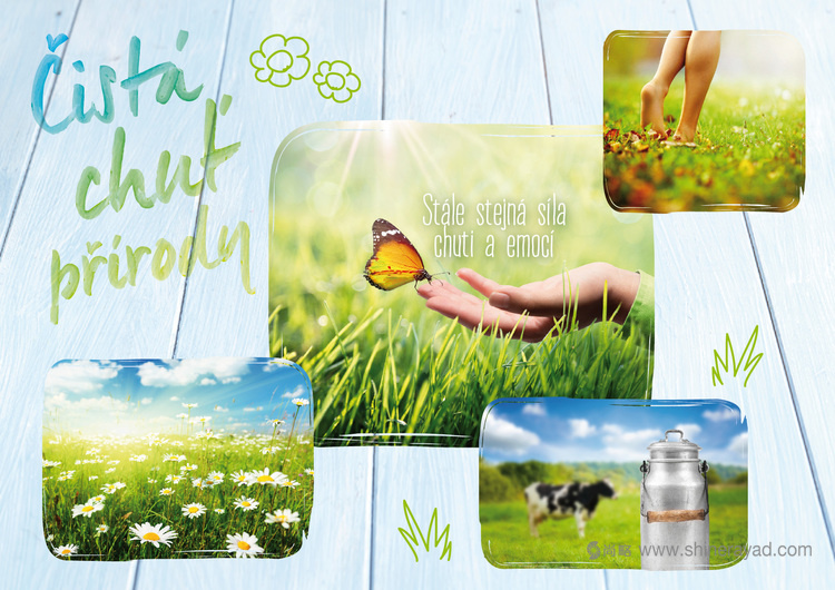 國外包裝設(shè)計(jì)欣賞-Lu?ina 藍(lán)瓊纓奶油奶酪包裝設(shè)計(jì)6