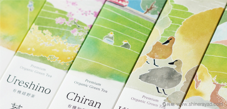 日本Saudade Tea 淡雅水彩插畫有機(jī)茶葉品牌包裝設(shè)計6