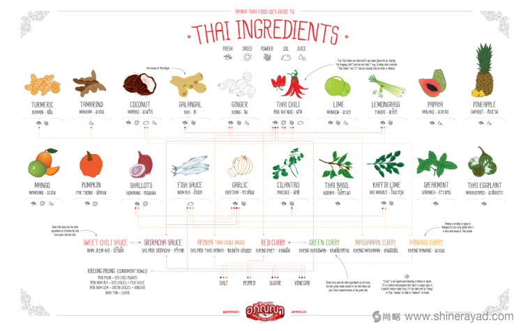 泰國辣醬apinya品牌小章魚核心視覺品牌形象塑造4-產(chǎn)品說明書設計
