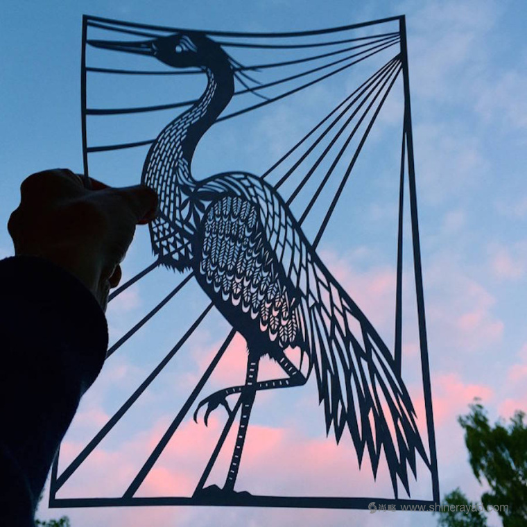 鳥類-動(dòng)物剪紙藝術(shù)與剪紙攝影圖片-上海平面設(shè)計(jì)公司創(chuàng)意藝術(shù)鑒賞4