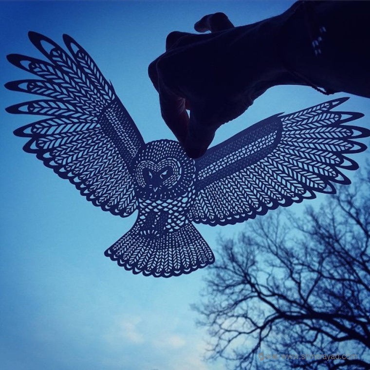 老鷹-動(dòng)物剪紙藝術(shù)與剪紙攝影圖片-上海平面創(chuàng)意設(shè)計(jì)公司藝術(shù)鑒賞1 老鷹-動(dòng)物剪紙藝術(shù)與剪紙攝影圖片-上海平面創(chuàng)意設(shè)計(jì)公司藝術(shù)鑒賞1