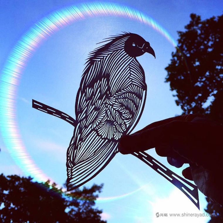 老鷹-動(dòng)物剪紙藝術(shù)與剪紙攝影圖片-上海平面設(shè)計(jì)公司創(chuàng)意藝術(shù)鑒賞8