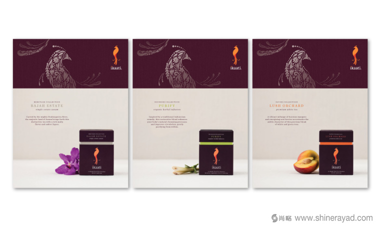 I印尼 kaati 有機(jī)茶花茶鳥類包裝設(shè)計(jì)--上海包裝設(shè)計(jì)公司3