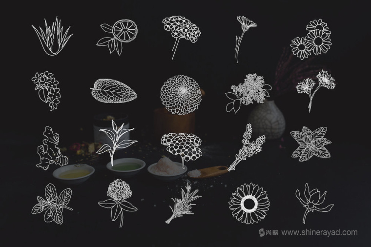 自然水彩插畫風(fēng)格 Hippie 美容護(hù)膚品包裝設(shè)計(jì)-ICON圖標(biāo)設(shè)計(jì)1