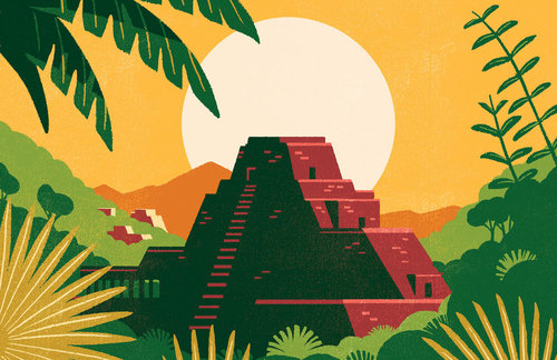 Archer Farms 盒裝咖啡包裝設(shè)計(jì)矢量插畫設(shè)計(jì)-上海包裝設(shè)計(jì)公司16