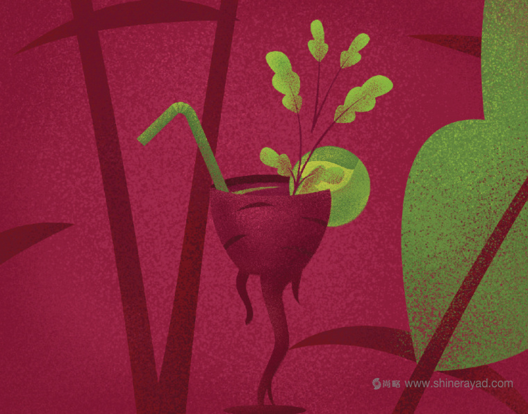 Borshch 咖啡館lVI形象設(shè)計蔬菜植物插畫設(shè)計-上海VI設(shè)計公司-上海餐飲品牌設(shè)計公司 Borshch 咖啡館lVI形象設(shè)計蔬菜植物插畫設(shè)計-上海VI設(shè)計公司-上海餐飲品牌設(shè)計公司