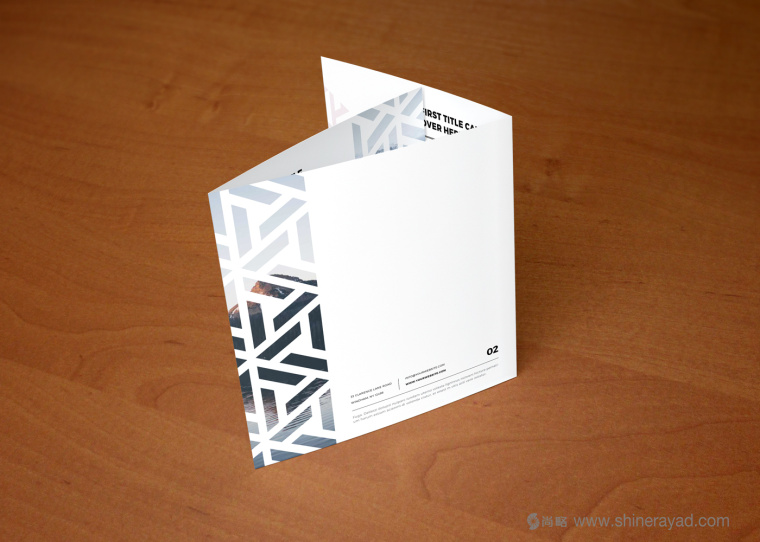 BROCHURE 運(yùn)動(dòng)鞋休閑鞋類宣傳畫冊設(shè)計(jì)-上海畫冊設(shè)計(jì)公司