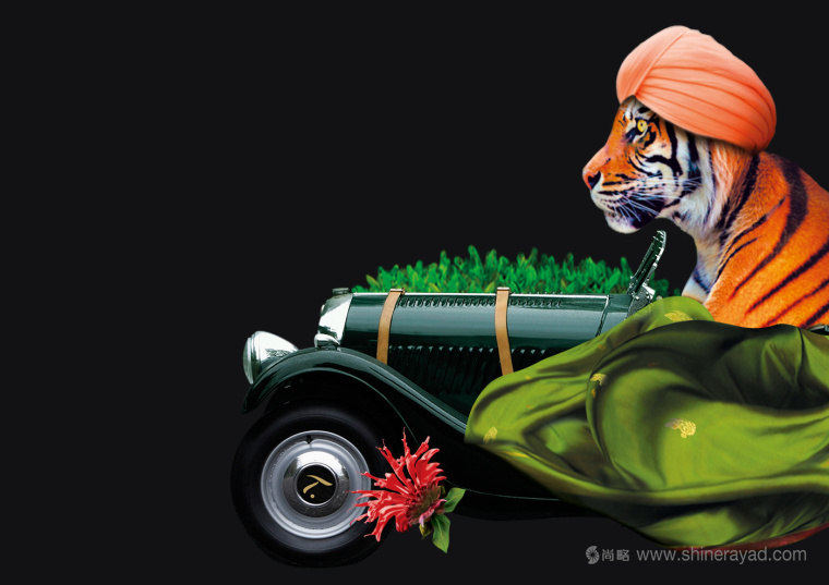 上海包裝設(shè)計公司欣賞：SPECIAL.T 雀巢優(yōu)質(zhì)茶葉膠囊品牌系列包裝設(shè)計插畫設(shè)計