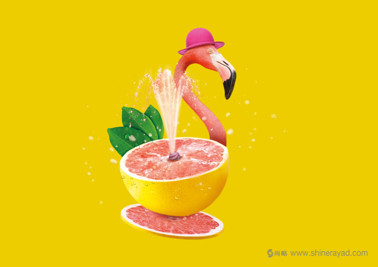 上海包裝設(shè)計公司欣賞：SPECIAL.T 雀巢優(yōu)質(zhì)茶葉膠囊品牌系列包裝設(shè)計插畫設(shè)計