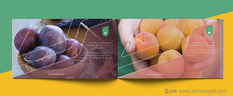 上海畫冊(cè)設(shè)計(jì)公司設(shè)計(jì)欣賞-高大上水果干果農(nóng)產(chǎn)品品牌宣傳畫冊(cè)設(shè)計(jì)2 上海畫冊(cè)設(shè)計(jì)公司設(shè)計(jì)欣賞-高大上水果干果農(nóng)產(chǎn)品品牌宣傳畫冊(cè)設(shè)計(jì)2